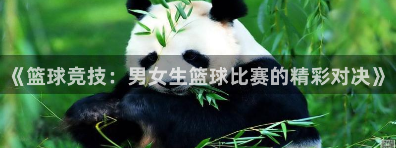 意昂体育app官方网站入口在线观看：《篮球竞技：男女生篮球比
