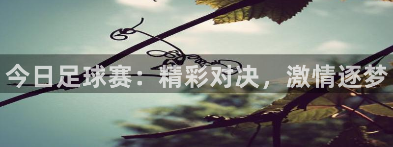 意昂官网入口登录：今日足球赛：精彩对
