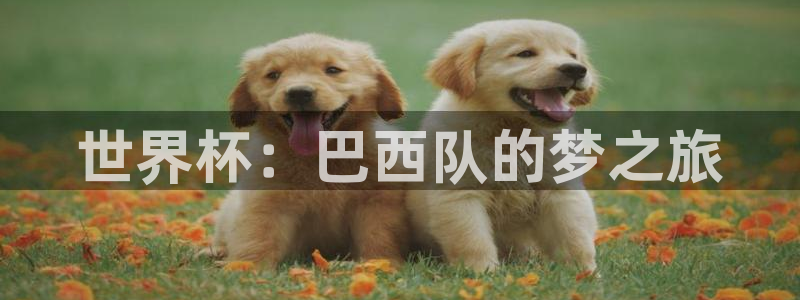 意昂体育app官方下载安装：世界杯：