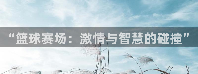 意昂平台登录方法：“篮球赛场：激情与智慧的碰撞”