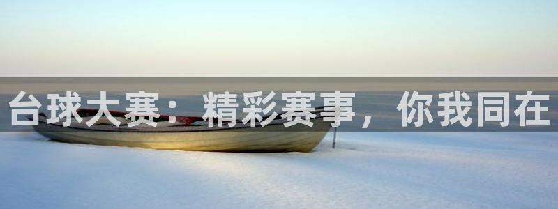  意昂平台登录入口最新版本介绍：台球大赛：精彩赛事，你我同在