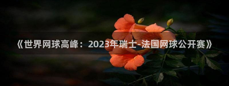  意昂体育官网：《世界网球高峰：2023年瑞士-法国网球公开赛