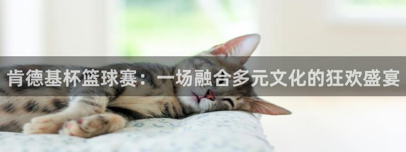 意昂体育官网：肯德基杯篮球赛：一场融