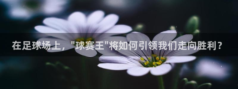意昂平台：在足球场上，\