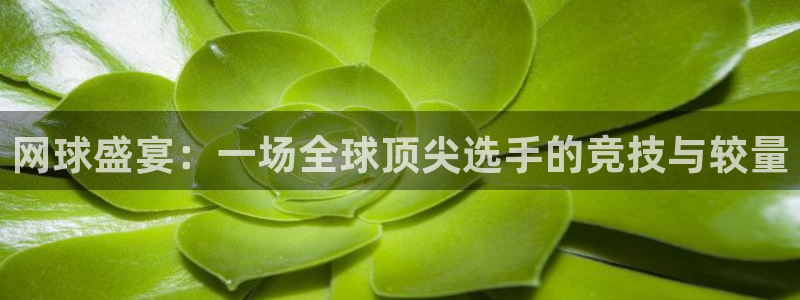 意昂体育是正规平台的吗：网球盛宴：一场全球顶尖选手的竞技与较