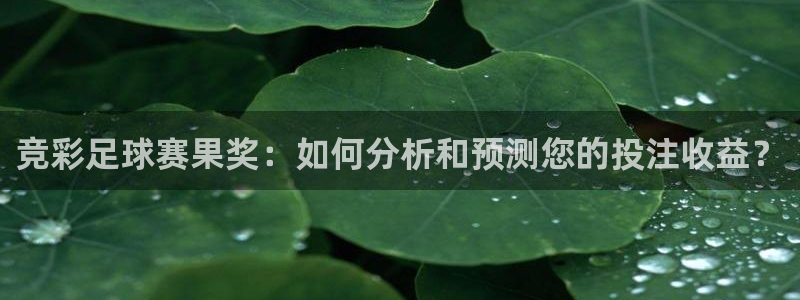 意昂体育网页登录入口入口官网网页版：