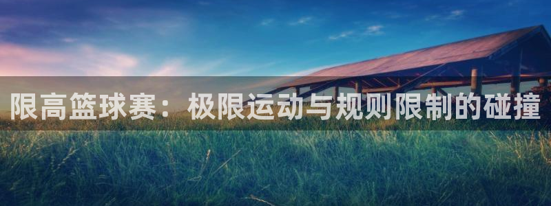  意昂平台登录方法：限高篮球赛：极限运动与规则限制的碰撞