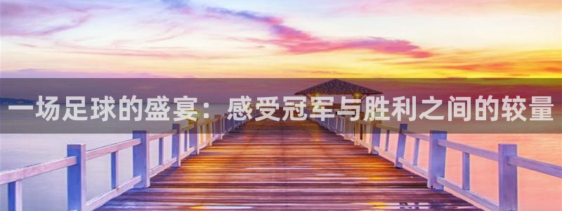 意昂体育app正版下载安装：一场足球的盛宴：感受冠军与胜利之
