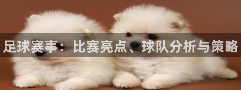 意昂平台官网：足球赛事：比赛亮点、球