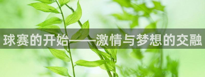  意昂平台登录方法：球赛的开始——激情与梦想的交融
