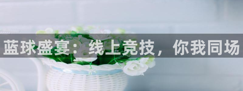 意昂体育是正规平台的吗：蓝球盛宴：线