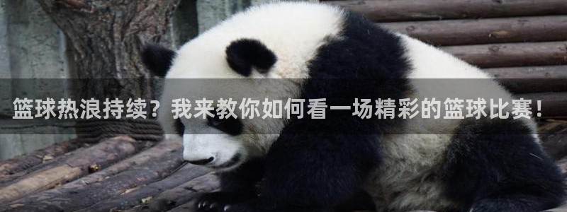  意昂平台登录方法：篮球热浪持续？我来教你如何看一场精彩的篮球