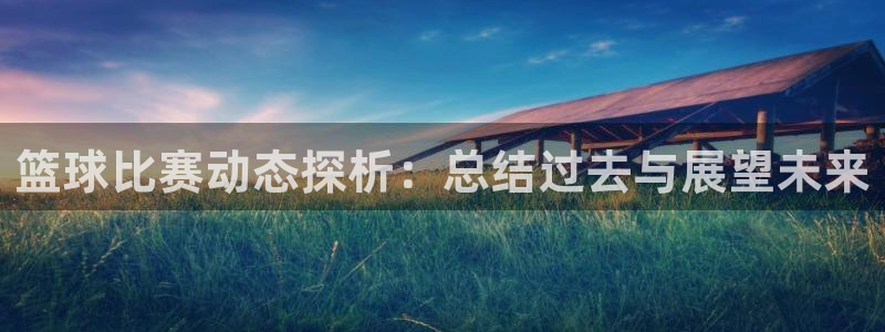 意昂平台官网：篮球比赛动态探析：总结