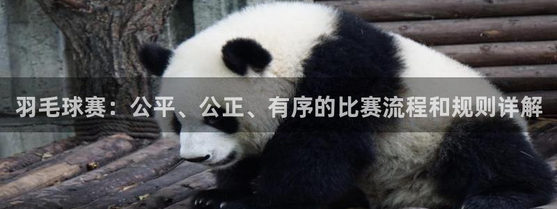 意昂体育app正版下载官网：羽毛球赛：公平、公正、有序的比赛