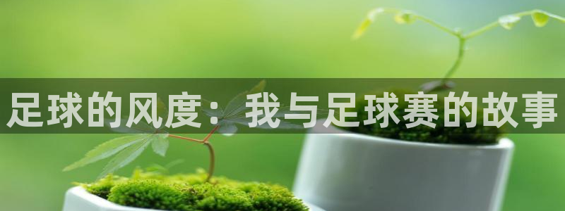 意昂平台登录方法：足球的风度：我与足