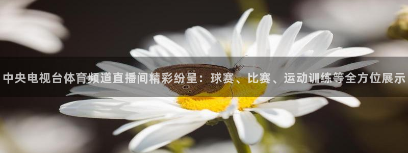 nba无插件直播看球吧：中央电视台体育频道直播间精彩纷呈：球赛、比赛、运动训练等全方位展示