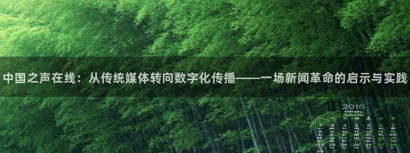 看球吧下载：中国之声在线：从传统媒体转向数字化传播——一场新闻革命的启示与实践