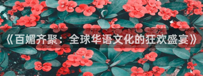 看球吧雨燕直播：《百媚齐聚：全球华语文化的狂欢盛宴》