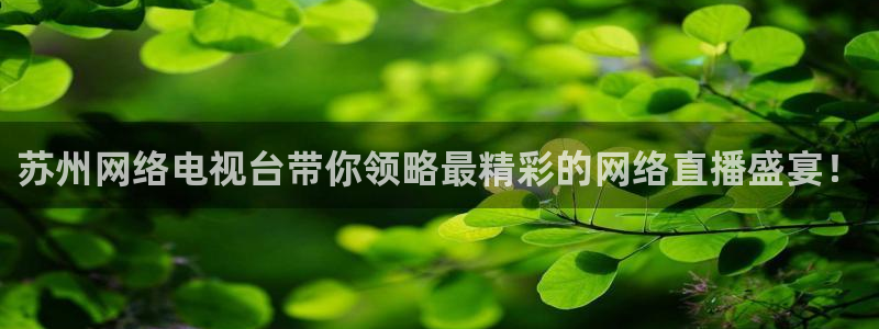 310看球吧直播nba：苏州网络电视台带你领略最精彩的网络直播盛宴！