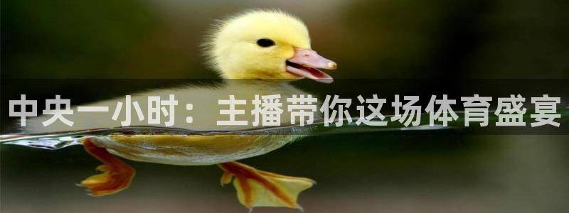 24直播吧 看球吧：中央一小时：主播带你这场体育盛宴