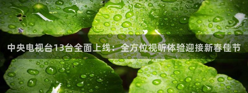 看球吧直播在线观看：中央电视台13台全面上线：全方位视听体验迎接新春佳节