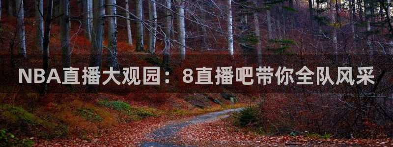 看球吧直播 在线观看：NBA直播大观园：8直播吧带你全队风采
