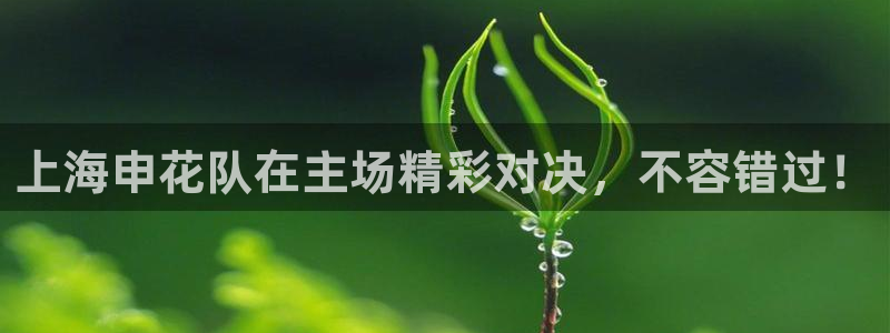 看球吧体育直播平台：上海申花队在主场精彩对决，不容错过！